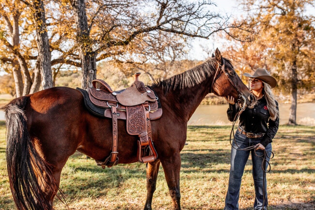 Horse Saddles